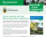 nieuwsbrief groen loppersum