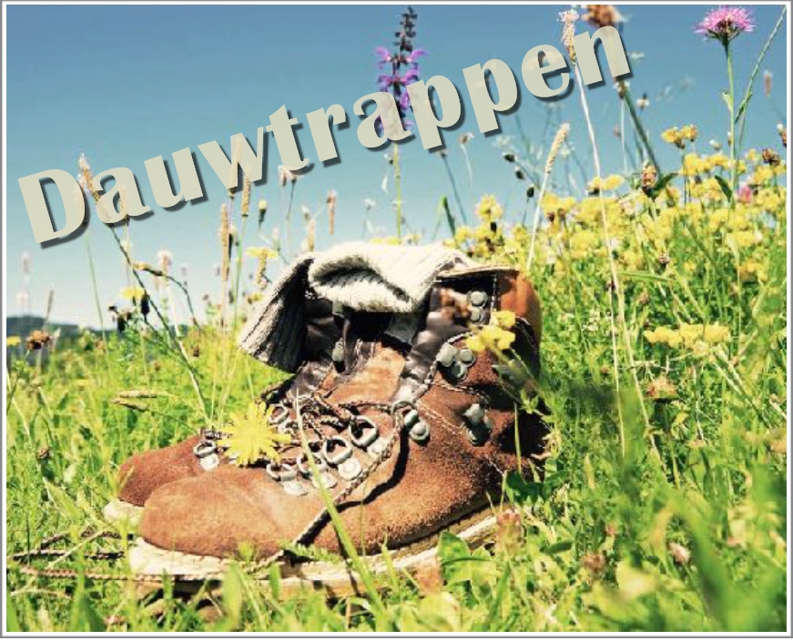 dauwtrappen