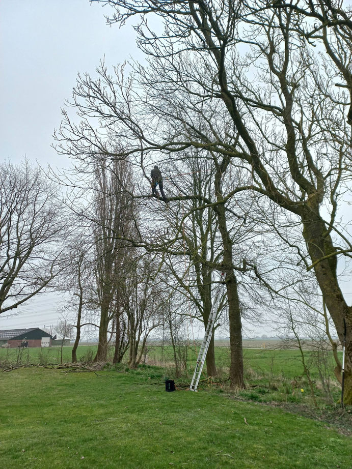 werkzaamheden op de begraafplaats